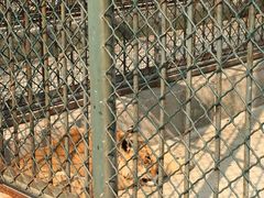 -宿豫区运河湾森林动物园