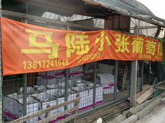 -马陆小张葡萄园农家乐