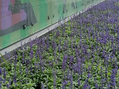 -东林广场(地铁站)