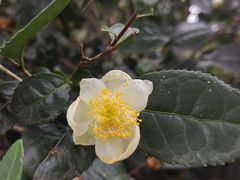 -敬亭山风景名胜区