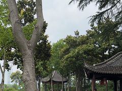 -梅园