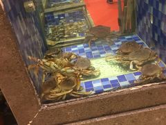 水产区-顺峰(南二环店)