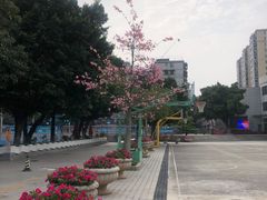 -矿泉游泳场