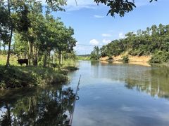 -千龙湖生态旅游度假区