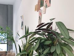 -隹木咖啡馆(宝龙广场店)