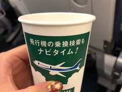 -全日本空输株式会社(上海办事处)