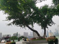 -重庆十八梯传统风貌区