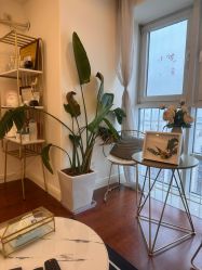 -演员的秘密·皮肤管理