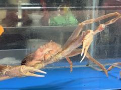 -黑牛の店·黑金店(沈阳万象城店)