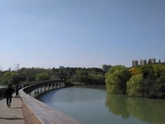 -昆山城市生态森林公园