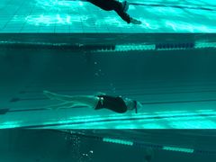 -汕头市游泳跳水馆