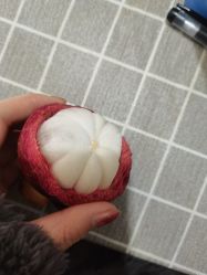 -谷雨官方旗舰店