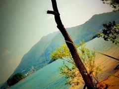 -广州市流溪河国家森林公园