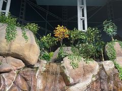 -上海海洋水族馆