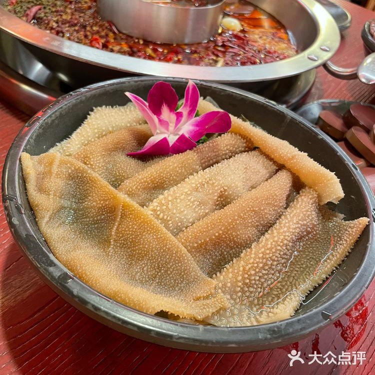 火爆朋友圈的川式火锅——谭鸭血老火锅