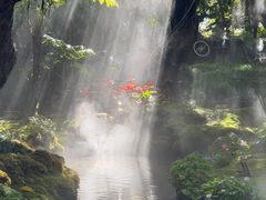 -Chom Cafe and Restaurant