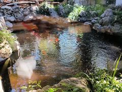 -鲤院·新中式美学·庭院餐厅(夫子庙店)