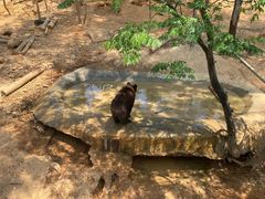 -泉州海丝野生动物世界