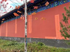 -金城公园