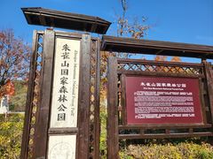 -吉林市朱雀山国家森林公园