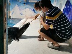 -成都浩海立方海洋公园