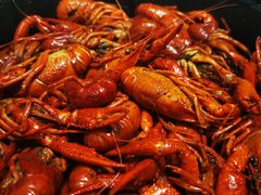 小龙虾-盒马鲜生(曜一城店)