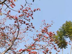 -人民公园(罗湖区)