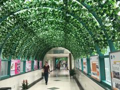 -江苏省人民医院(广州路院区)