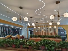 -格格家·兰州纯汤牛肉面(青龙寺店)