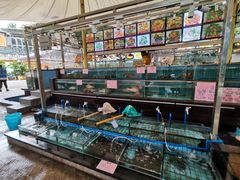 水产区-荔城生鲜盛宴(番禺旗舰店)