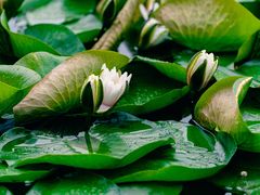 -长春公园(普阳街道)