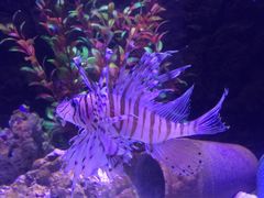 -梦幻海洋王国(吾悦广场张家港店)