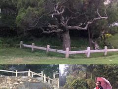 -草庵摩尼教遗址公园