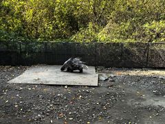 -哈尔滨北方森林动物园