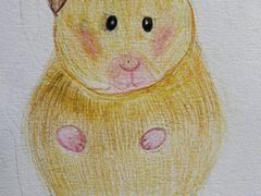 -鼎画艺术机构(贵都店)