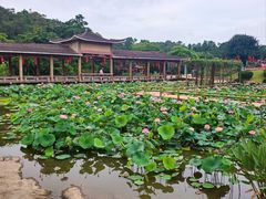-广州莲花山旅游区
