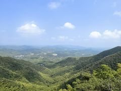 -紫藤园·天目湖大鱼头(南山竹海店)