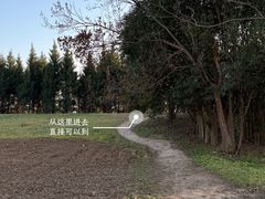 -汉长安城未央宫国家考古遗址公园