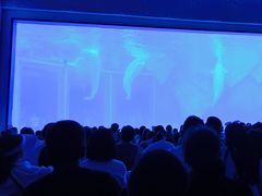 -上海海昌海洋公园-冰山北极馆