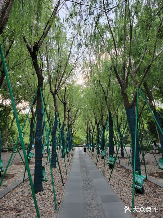 柳浪闻莺公园图片