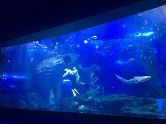 景点-多彩贵州城极地海洋世界