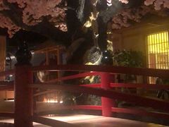 -蓝鲸湾汤泉(包河店)