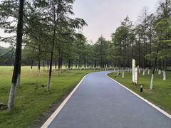 -宜兴龙背山森林公园