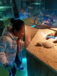-七巧国萌宠乐园(龙湖天街店)