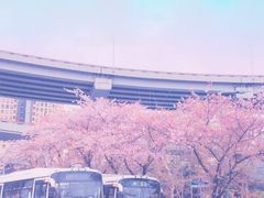 -上海南浦大桥长途旅游客运站