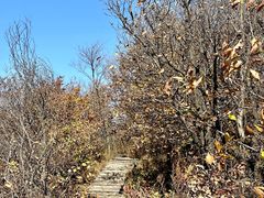 -帽儿山国家森林公园