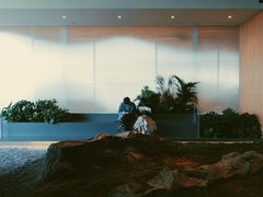 -Seesaw Coffee(朝阳大悦城店)