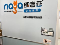 -纳吉亚猫专科动物诊疗中心(蒋宅口分院)