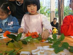 -前小桔亲子创意农场·草莓采摘·露营烧烤
