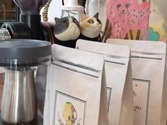 -有猫主题·治愈系猫咖(曾厝垵店)